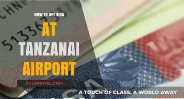 Effortless Tanzania Visa on Arrival: Your Ultimate Airport Guide