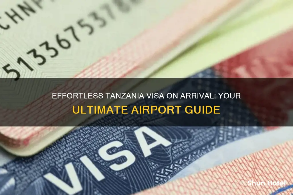 how to get visa at tanzanai airport