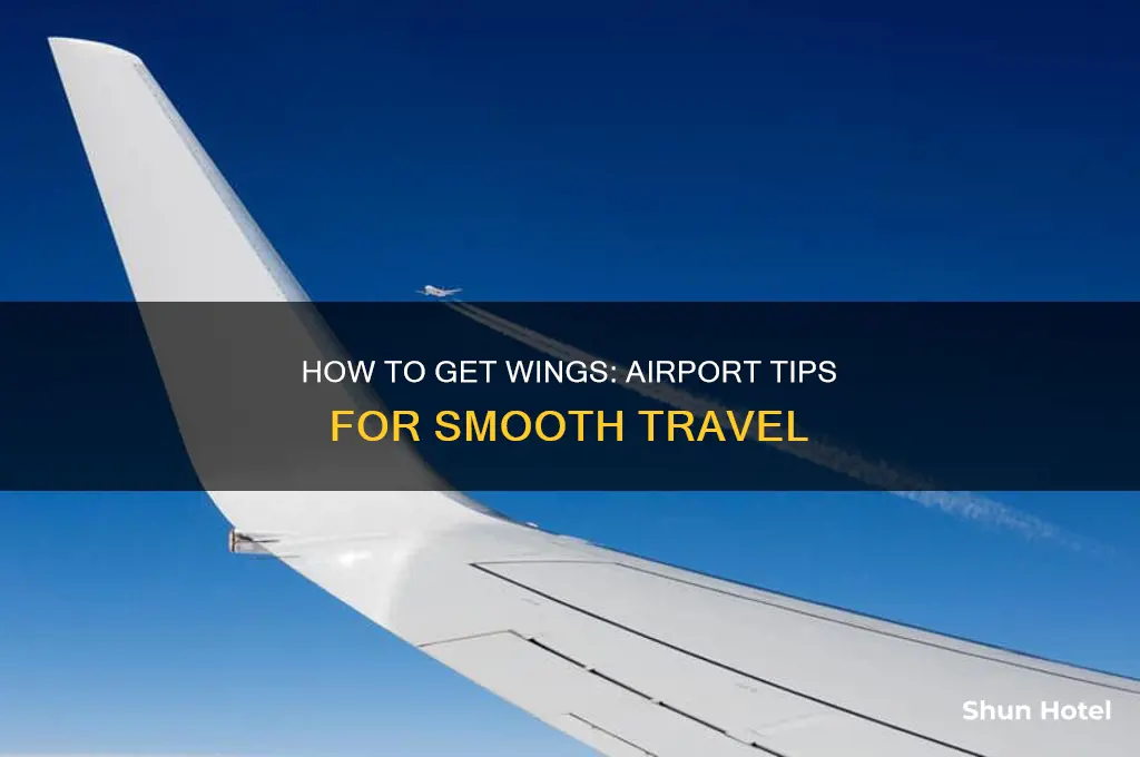 how to get wings from airport