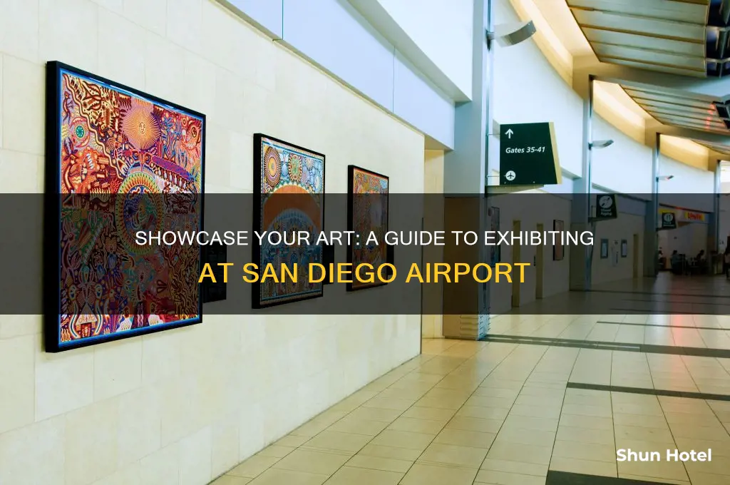 how to get your artwork in san diego airport