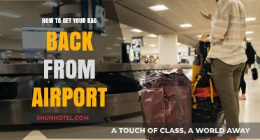 Lost Luggage at the Airport? Here’s How to Recover Your Bag