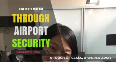 Stress-Free Airport Security Tips for Traveling with Your Cat