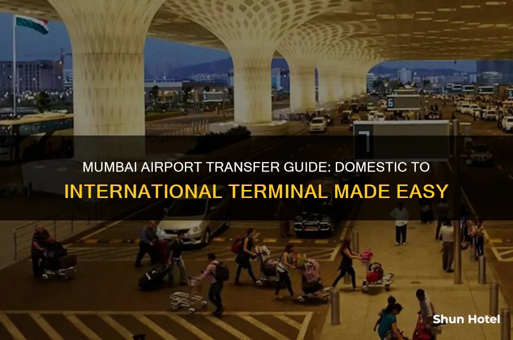 how to go from domestic to international airport mumbai