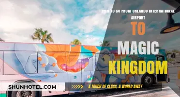 Orlando Airport to Magic Kingdom: Quick & Easy Transportation Guide