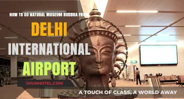 Delhi Airport to National Museum Buddha: A Quick Travel Guide