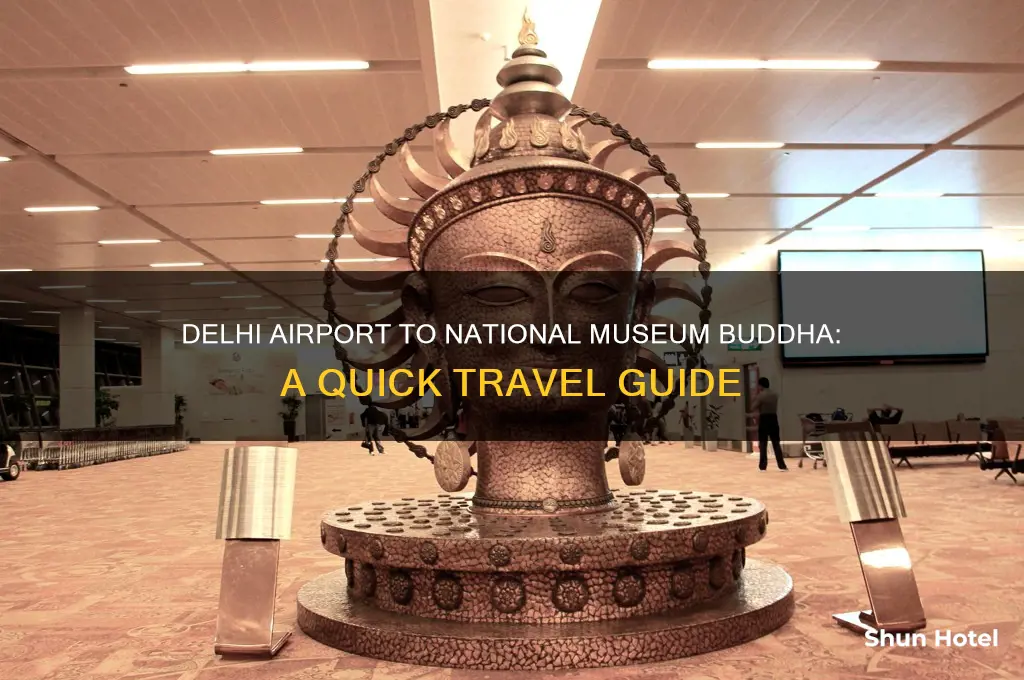 how to go natural museum buddha from delhi international airport