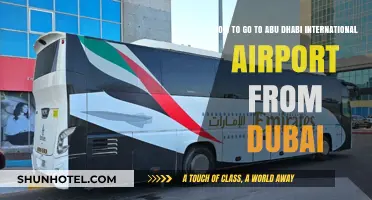 Traveling from Dubai to Abu Dhabi International Airport: Easy Guide