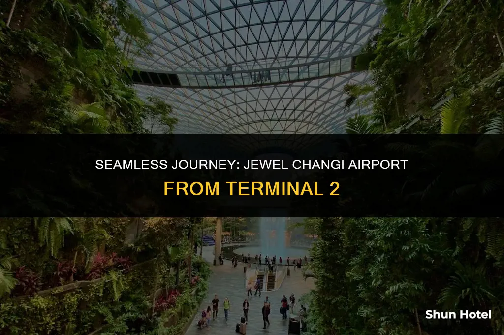 how to go to jewel changi airport from terminal 2