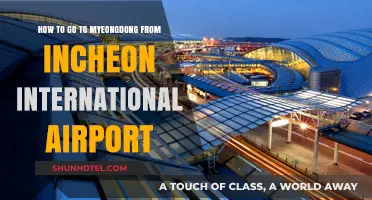 Travel Guide: Incheon Airport to Myeongdong - Easy Transport Tips