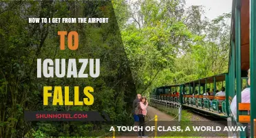 Travel Guide: Airport to Iguazu Falls Transportation Options Simplified