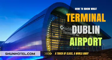 Navigating Dublin Airport: A Guide to Identifying Your Terminal