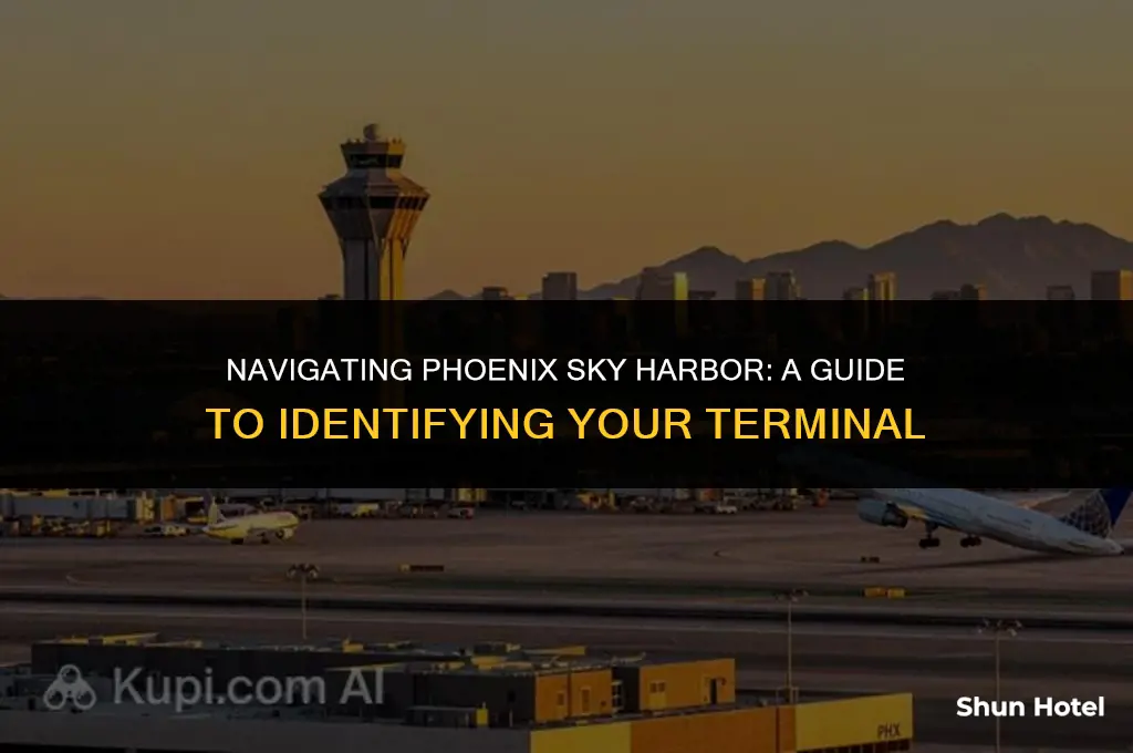 how to know which terminal at phoenix sky harbor airport