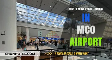 Navigating MCO Airport: A Guide to Identifying Your Terminal