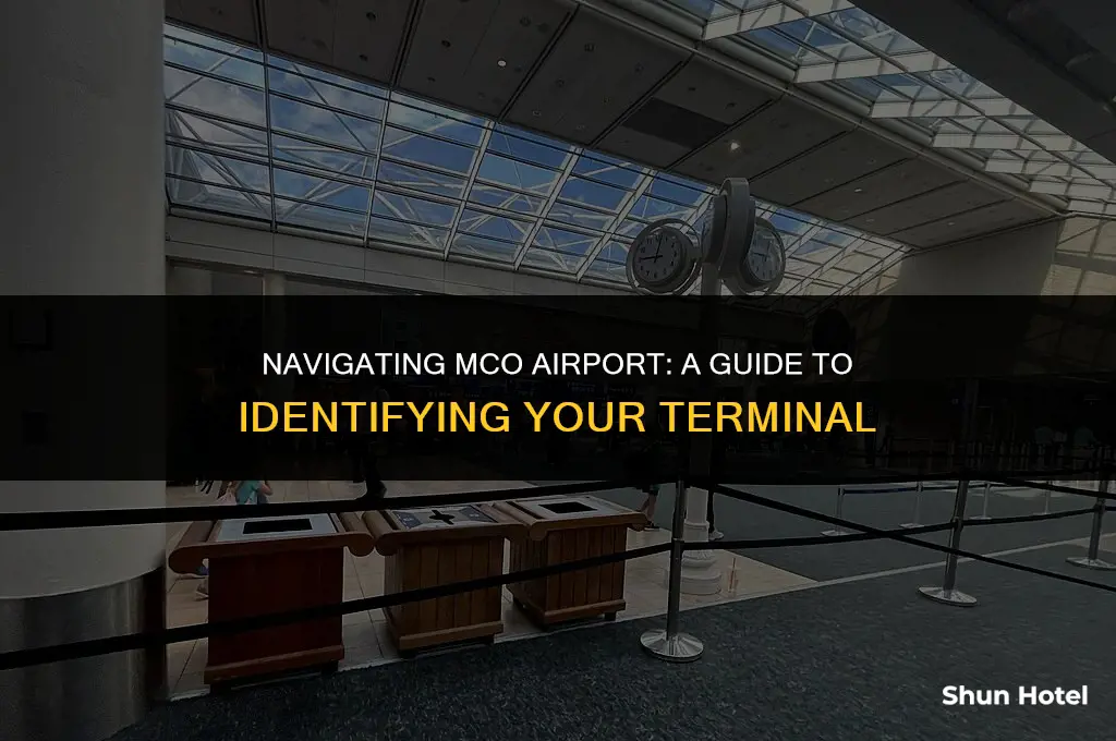 how to know which terminal in mco airport