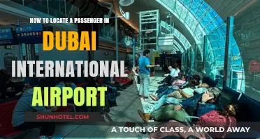 Navigating Dubai Airport: Quick Tips to Locate Passengers Easily