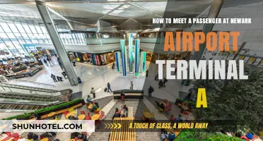 Navigating Newark Airport: A Guide to Meeting Passengers at Terminal A