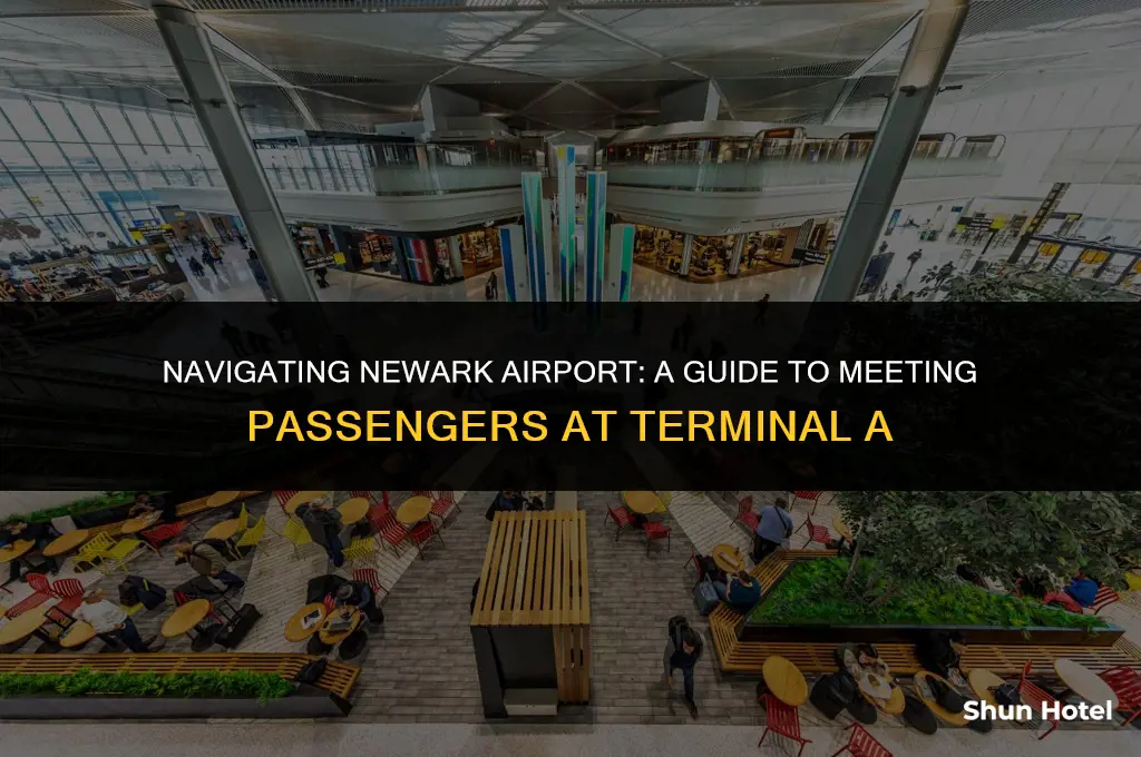 how to meet a passenger at newark airport terminal a