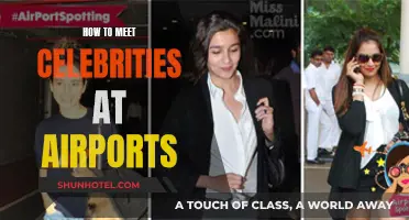 Meeting Celebrities at Airports: Tips and Tricks