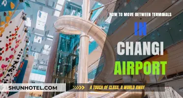 Navigating Changi Airport: A Guide to Moving Between Terminals