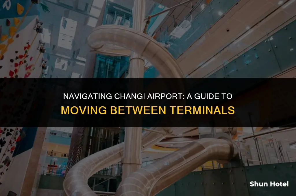 how to move between terminals in changi airport