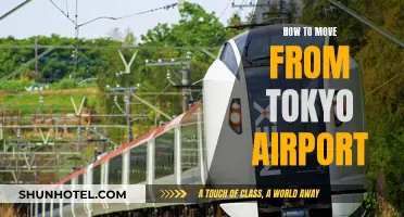 Navigating Tokyo Airport: Efficient Travel Tips and Tricks