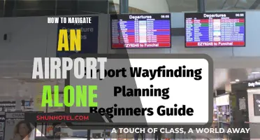 Navigating an Airport Solo: A Step-by-Step Guide