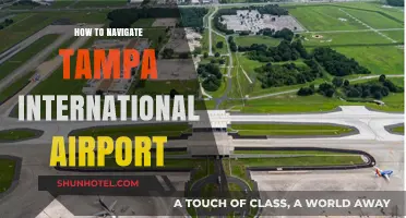 Mastering Tampa International Airport: A Stress-Free Navigation Guide