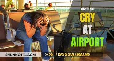 Avoiding Tears at the Airport: Strategies for Emotional Travelers