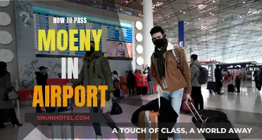 A Traveler's Guide to Moving Money Through Airports
