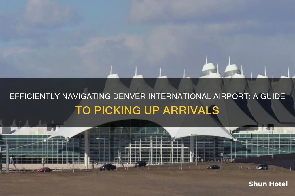 how to pick up arrivals at denver international airport