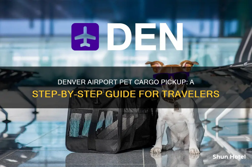 how to pick up pet cargo at denver international airport