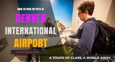 Denver Airport Pet Pickup Guide: Tips for a Smooth Arrival