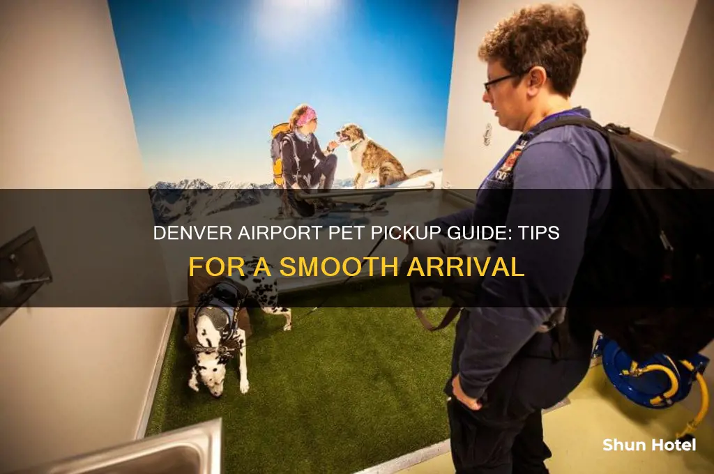 how to pick up pets at denver international airport