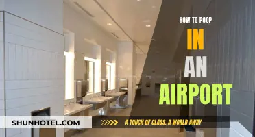 Pooping in Airports: A Guide to Restroom Relief