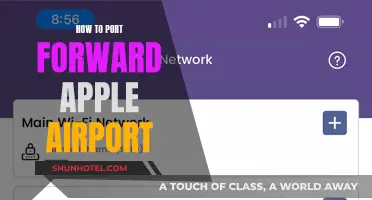 Port Forwarding on Apple Airport: Easy Steps to Success