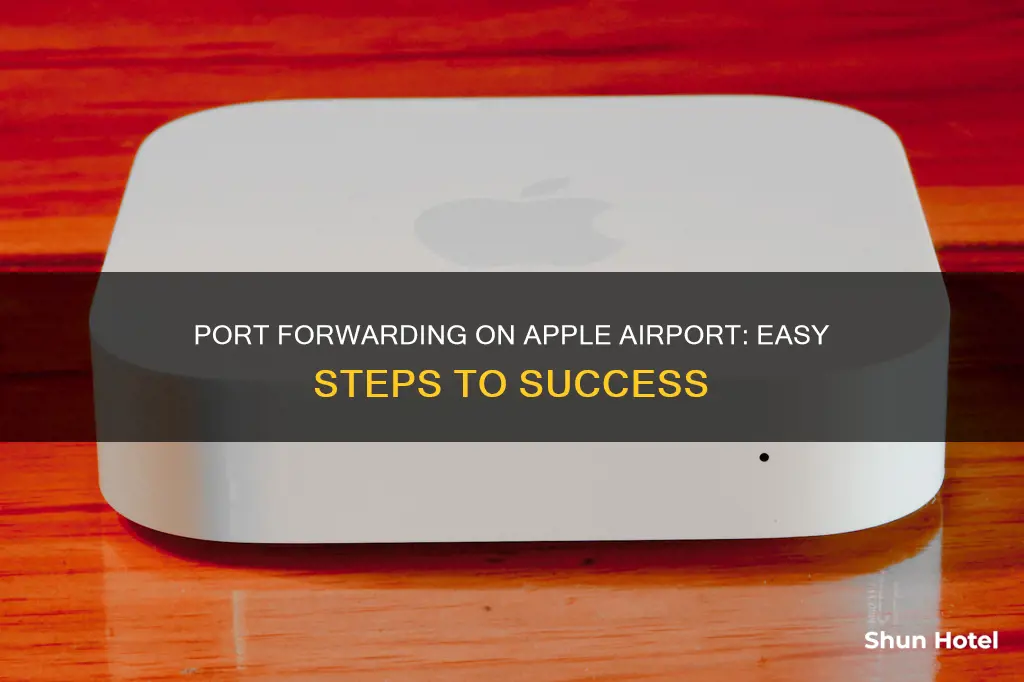 how to port forward apple airport