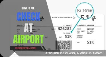 A Smooth Airport Experience: Pre-Check to Save Time