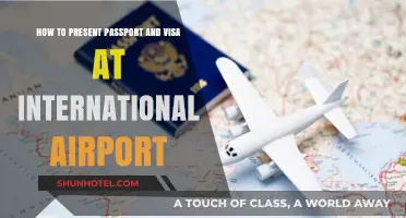 Mastering Passport & Visa Presentation at International Airports: A Quick Guide