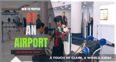 The Perfect Airport Proposal: A Guide to Popping the Question
