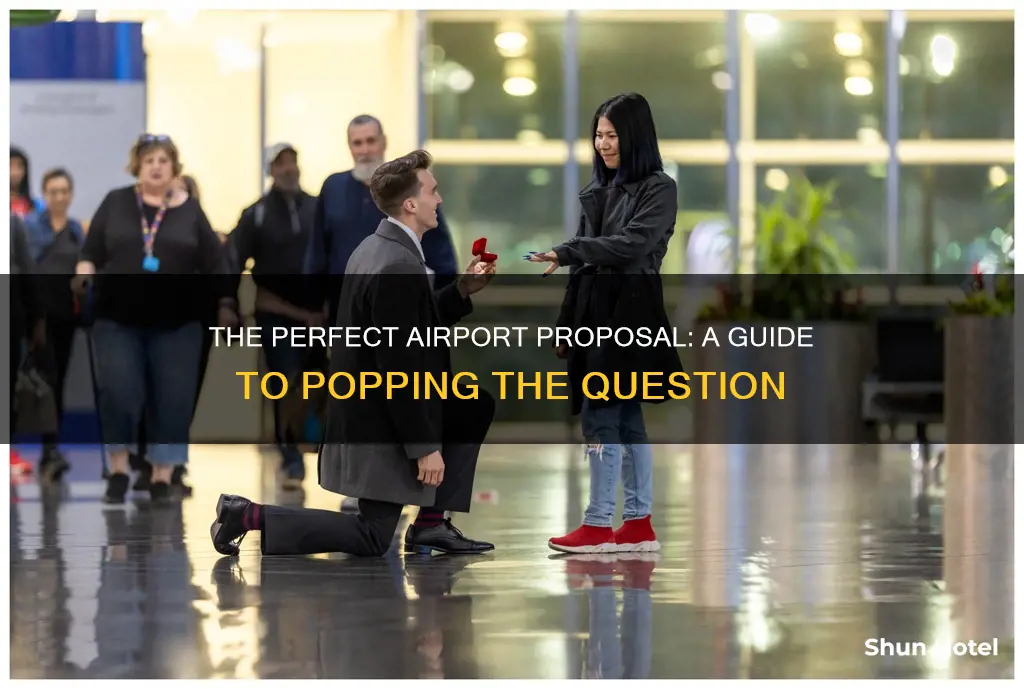 how to propose at an airport