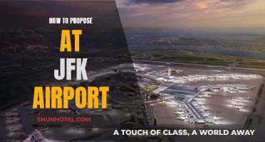 A Romantic JFK Airport Proposal: How to Pop the Question