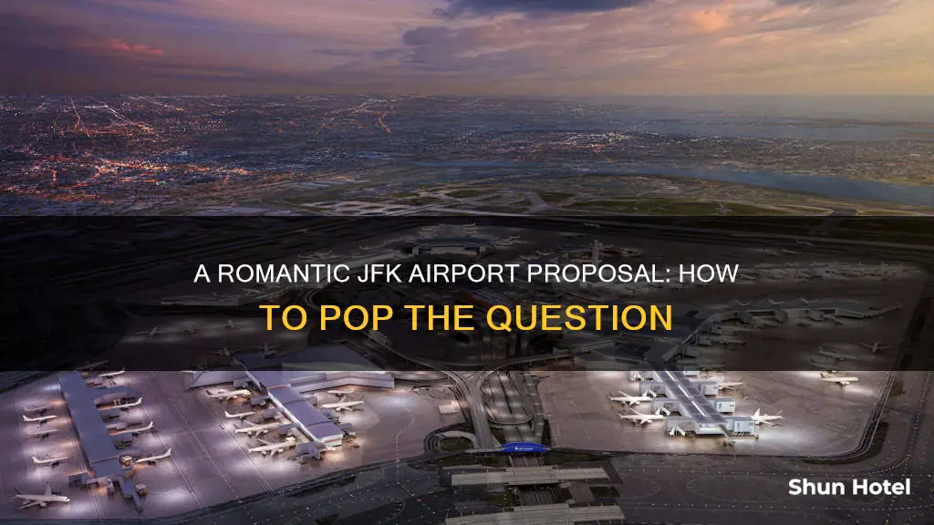 how to propose at jfk airport