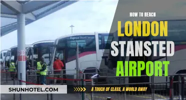 Stansted Airport: Navigating London's Travel Options