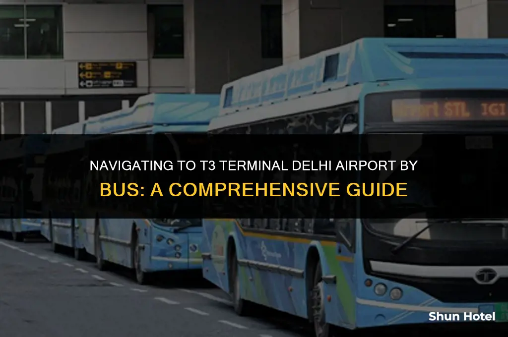 how to reach t3 terminal delhi airport by bus