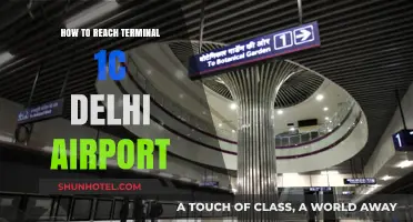Navigating Delhi Airport: Your Guide to Terminal 1C