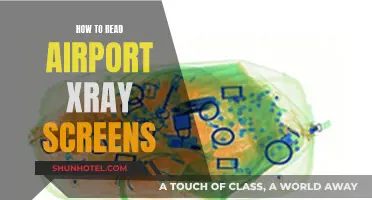 Interpreting Airport X-ray Screens: A Beginner's Guide