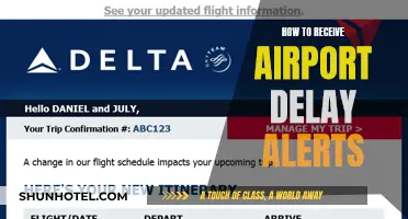 Stay Alerted About Airport Delays: Get Timely Notifications