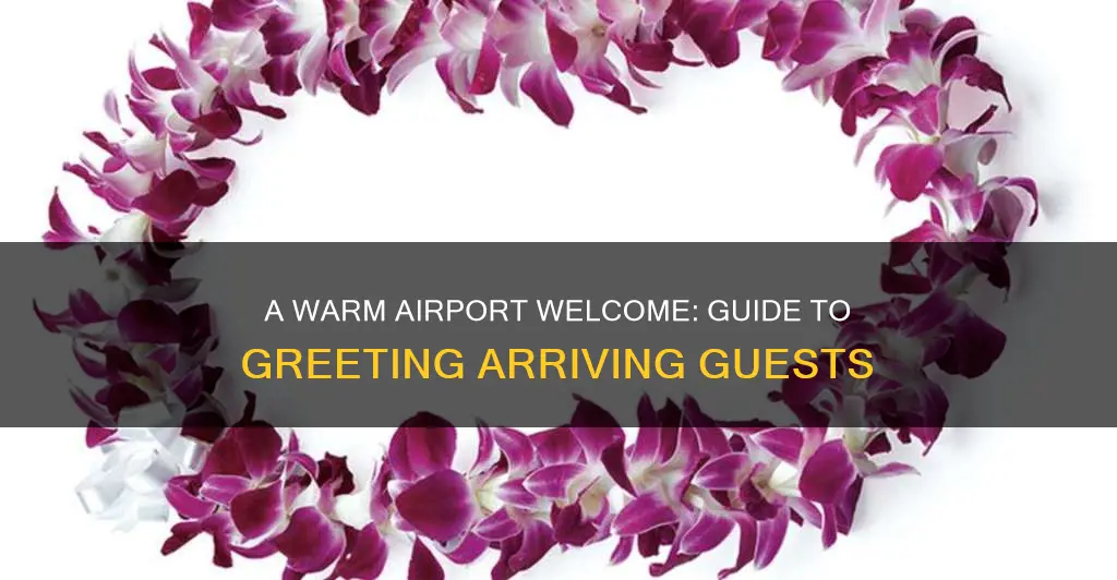 how to receive someone at airport