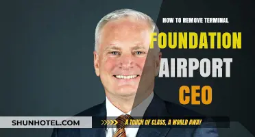 Removing Terminal Foundation Airport CEO: A Step-by-Step Guide