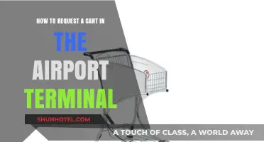 Navigating Airport Terminals: A Guide to Requesting Your Shopping Cart